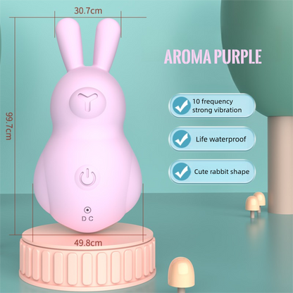 Aroma Purple Cutie Rabbit Clit Vibrator with 10 frequency strong vibration and waterproof design